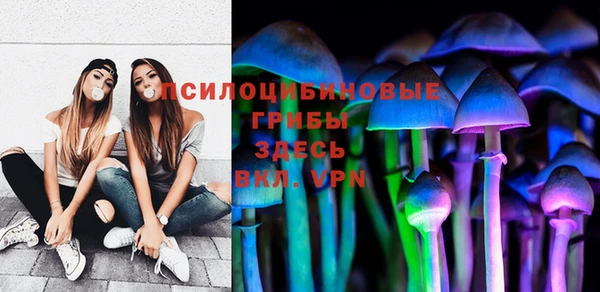 амф Абинск